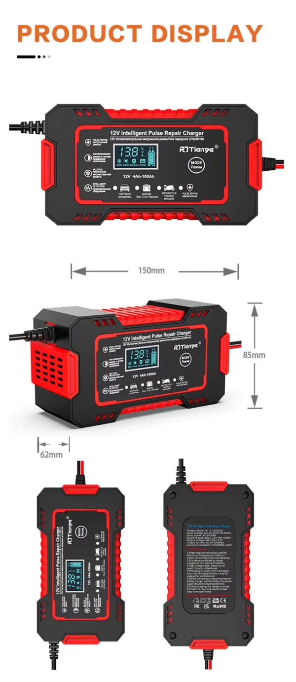 bgfeetgrgr Cargador de baterias 12V/6A