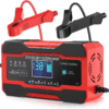 Cargador de baterias 12V10A 24V/5A