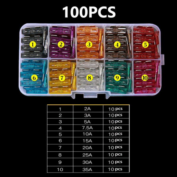 Pack 100 und de fusibles tipo estandar