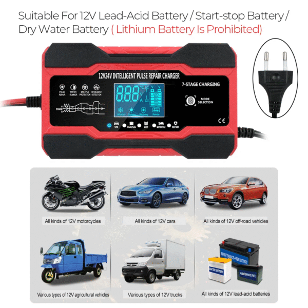 Cargador de baterias 12V10A 24V/5A