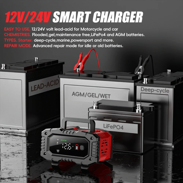 Cargador de baterias 12V/20A 24V/10A