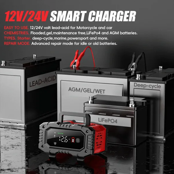 btvf Cargador de baterias 12V/20A 24V/10A