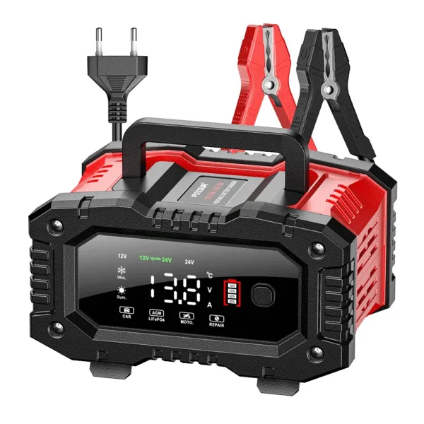 btvfrder Cargador de baterias 12V/20A 24V/10A