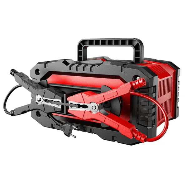 btvfrderw Cargador de baterias 12V/20A 24V/10A