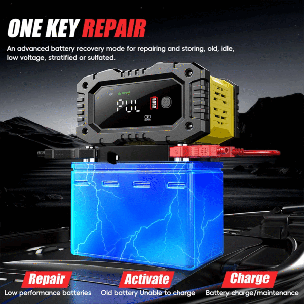 Cargador de bateria 12V/10A 24V/5A