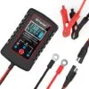 CARGADOR4 Cargador Inteligente de Pulsos RJTianye (6V/12V)