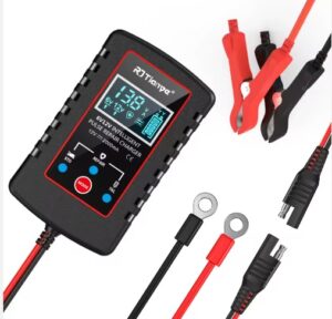 CARGADOR4 Cargador Inteligente de Pulsos RJTianye (6V/12V)