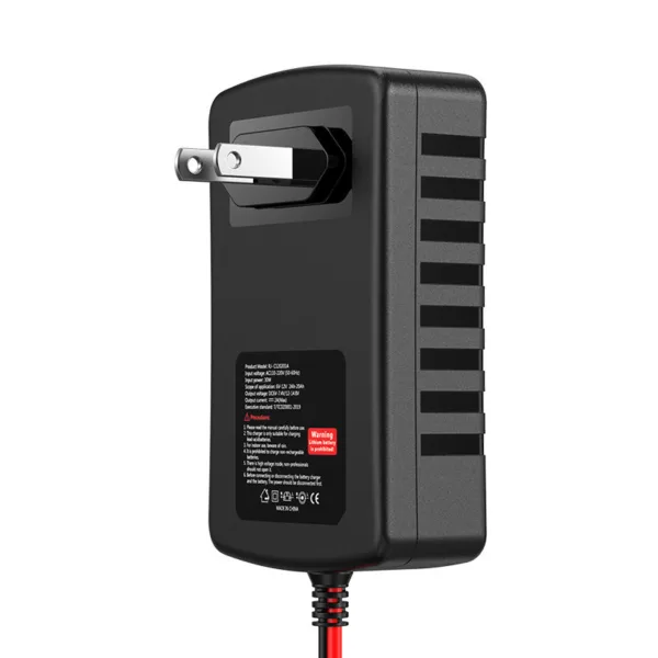 cargasdorn 6v3 Cargador Inteligente de Pulsos RJTianye (6V/12V)