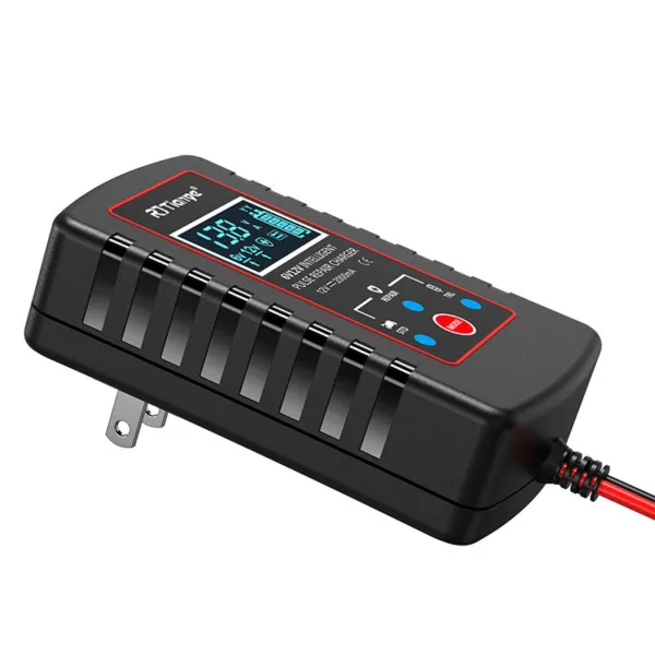 cargasdorn 6v344 Cargador Inteligente de Pulsos RJTianye (6V/12V)
